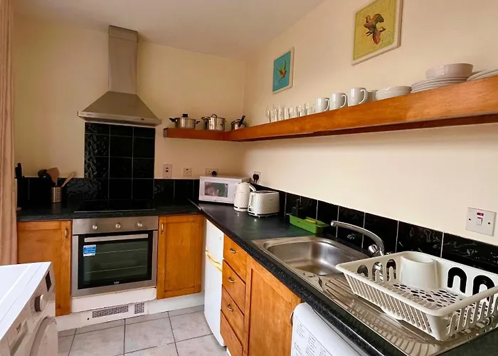 The Temple Bar 2 Bed 公寓 都柏林